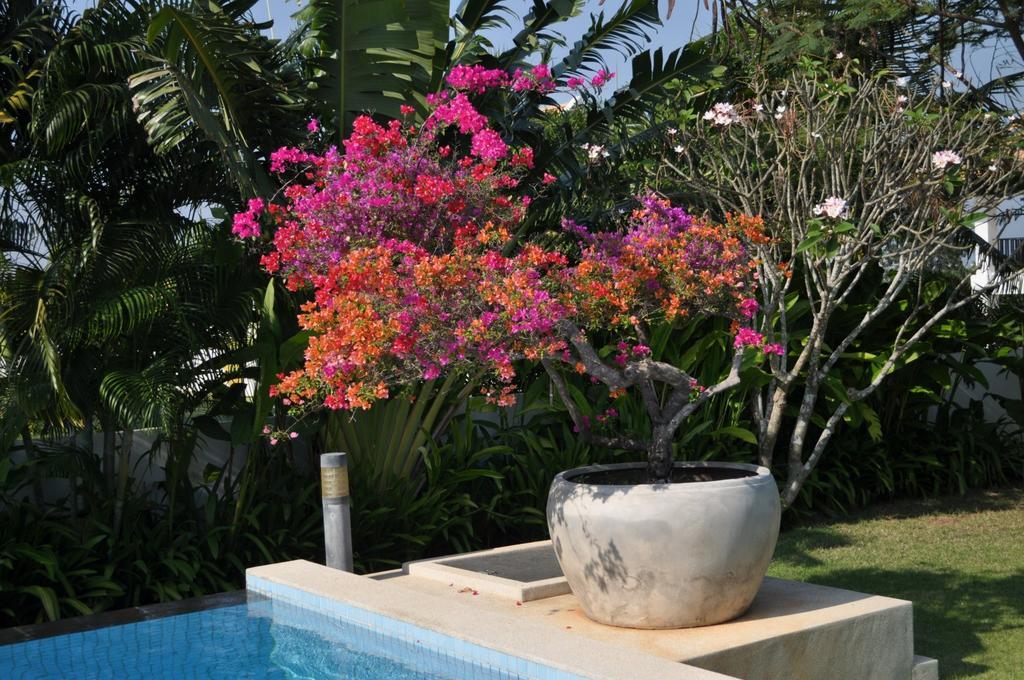 Balinese Villa With Private Pool หัวหิน ภายนอก รูปภาพ